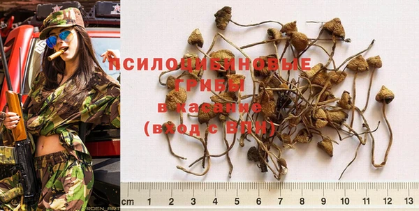 сатива Семилуки