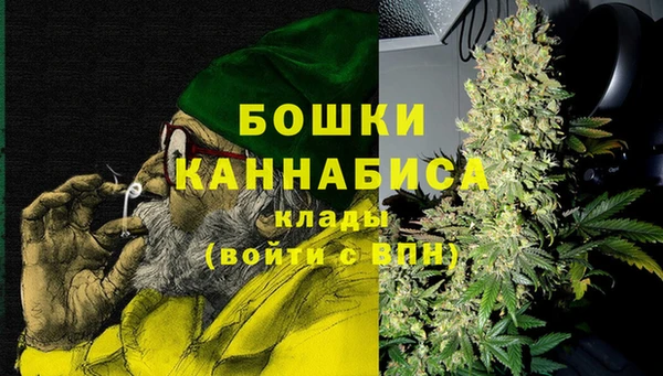 сатива Семилуки