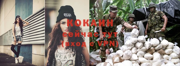сатива Семилуки