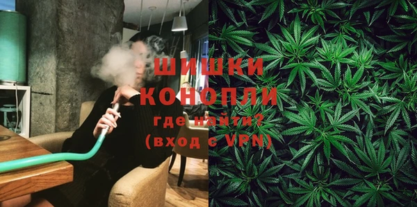 сатива Семилуки